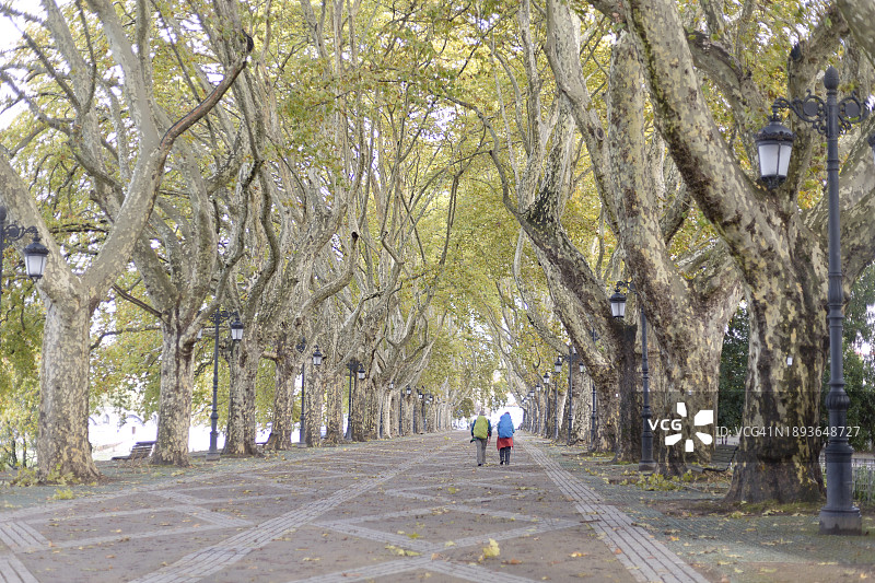 欧洲圣地亚哥朝圣之路的秋天图片素材