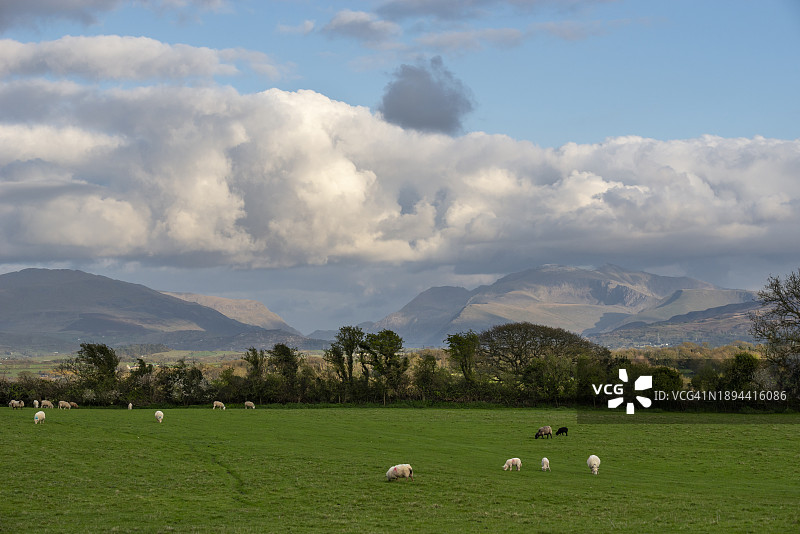 从安格尔西岛眺望斯诺多尼亚群山，北威尔士图片素材