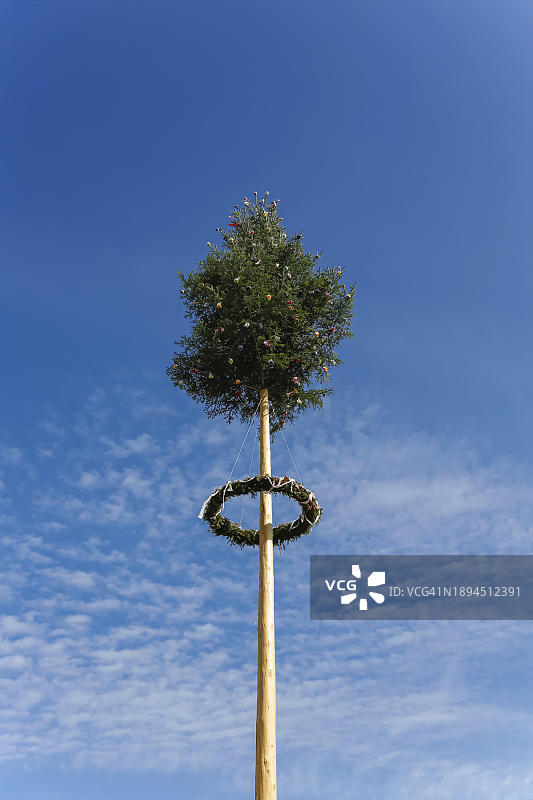 盖斯林根的五月柱：装饰的针叶树，树干和花圈，德国巴登-符腾堡图片素材