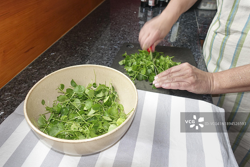 豆瓣菜(Nasturtium officinale),用于制作豆瓣菜汤,切菜板,厨房刀具,沙拉碗,茶巾,健康素食汤图片素材