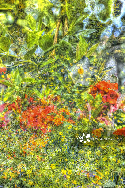 油画野花草甸花卉印象艺术图片素材