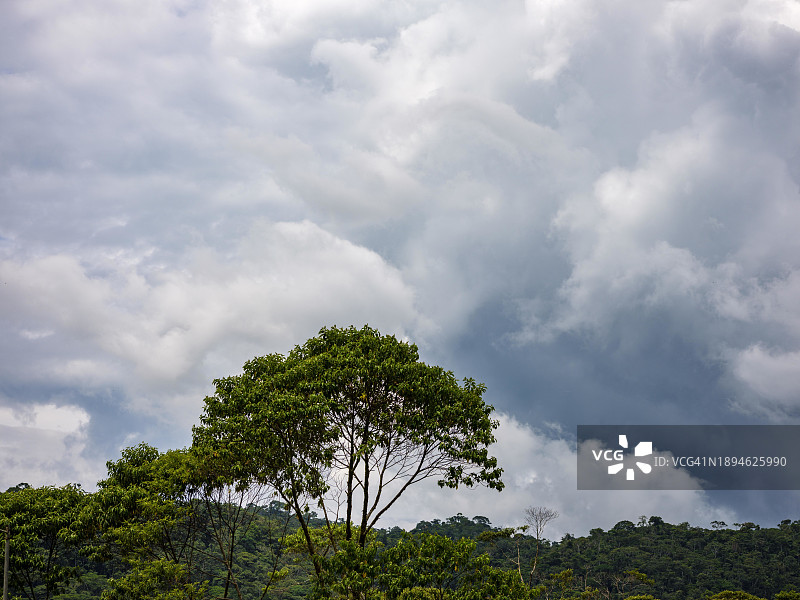 南美洲厄瓜多尔帕斯塔萨省亚马逊雨林上空的乌云图片素材