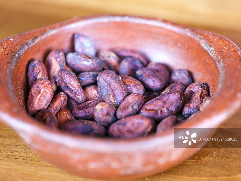 厄瓜多尔钦博拉索省明多地区的烤可可豆图片素材