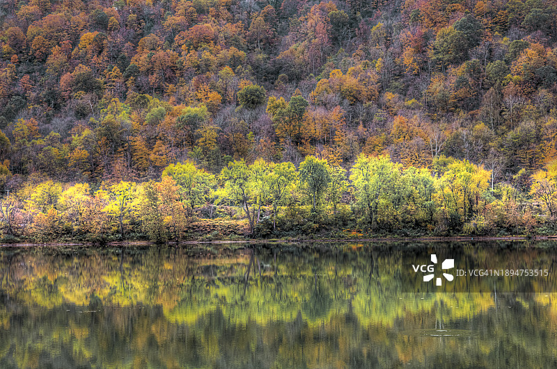 横跨河流的树木繁茂的悬崖图片素材