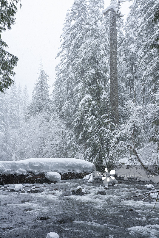 俄勒冈州鲑鱼溪雪景图片素材