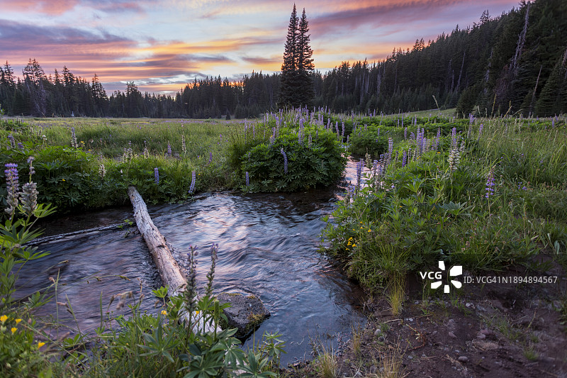 太平洋山脊步道梅萨溪日落图片素材