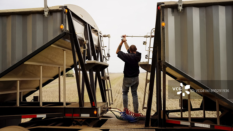 在农场操作谷物收集拖车的男人图片素材