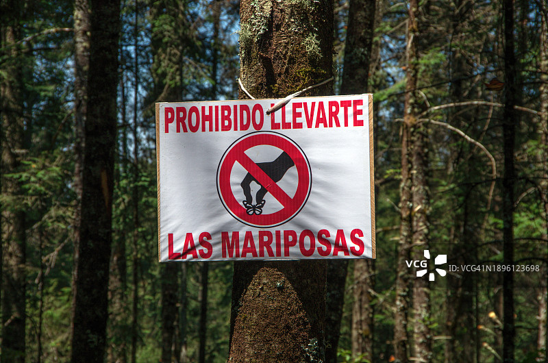 墨西哥帝王蝶保护区警示牌：禁止带走蝴蝶图片素材