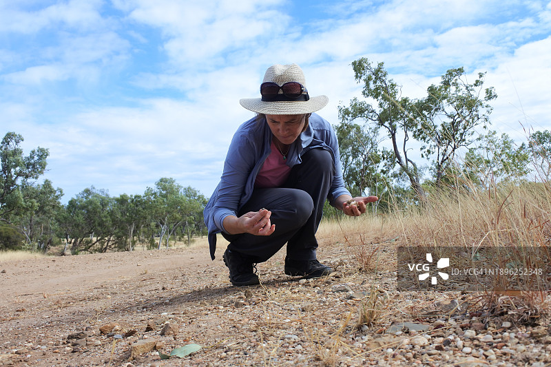 在干涸河床中勘探或寻宝的澳大利亚女子图片素材