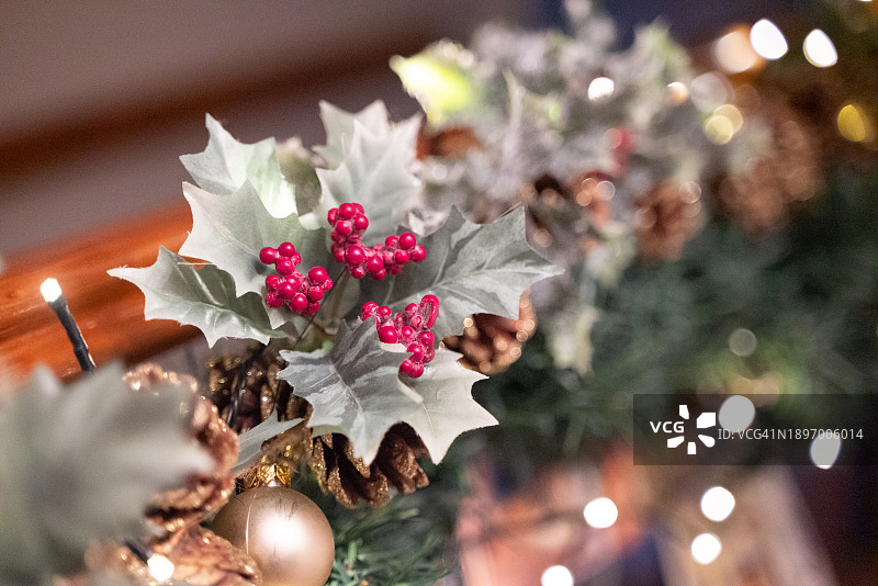冬青和浆果装饰图片素材