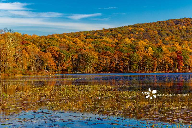 哈里曼州立公园的湖泊图片素材