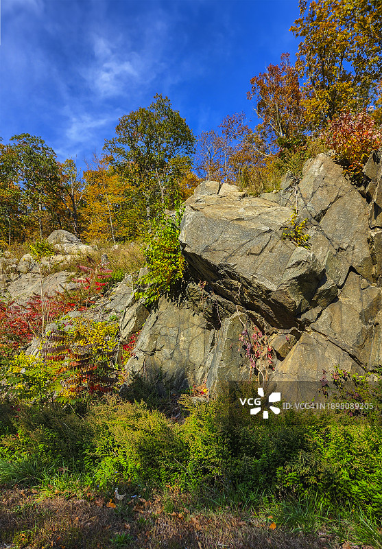 2023年10月26日 秋季哈里曼州立公园路边景色，纽约州图片素材
