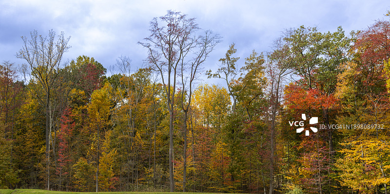 纽约奥兰治堡秋季树木图片素材