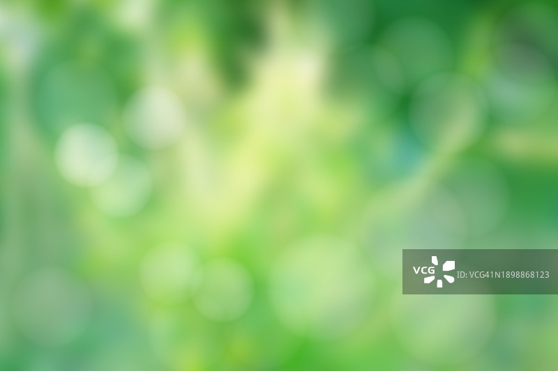 绿色抽象背景散景图片素材