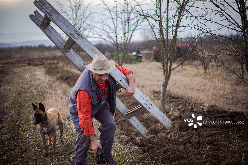 手工艺，果园修剪服务，专业职业图片素材