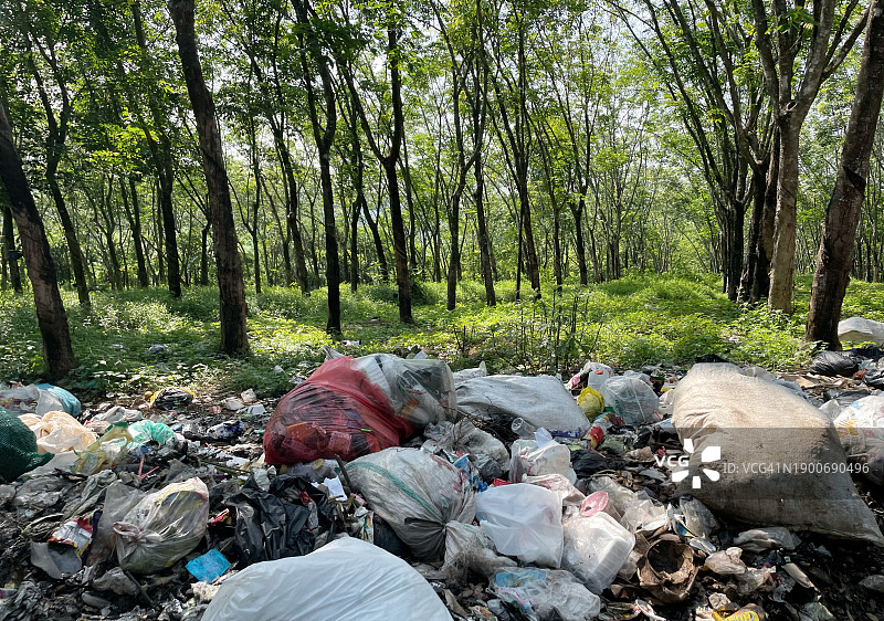 森林中的垃圾图片素材