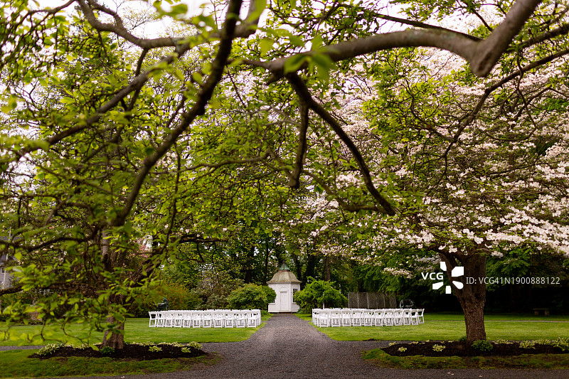 公园里的春季婚礼图片素材