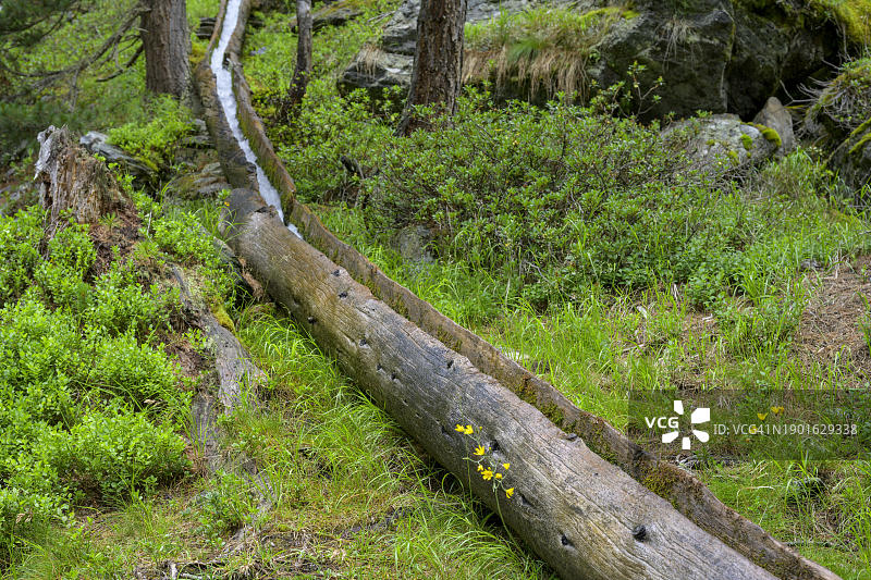 坎德尔瓦木制水渠，马特尔，南蒂罗尔，意大利，欧洲图片素材
