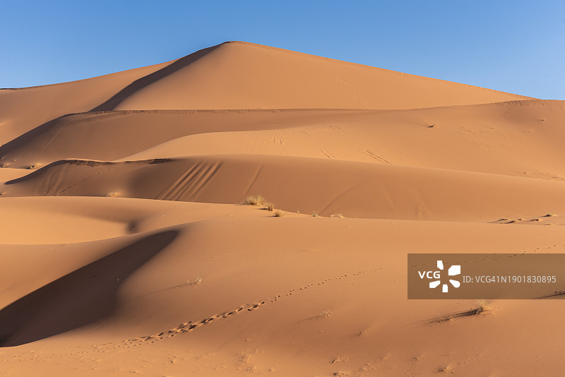 撒哈拉沙漠图片素材