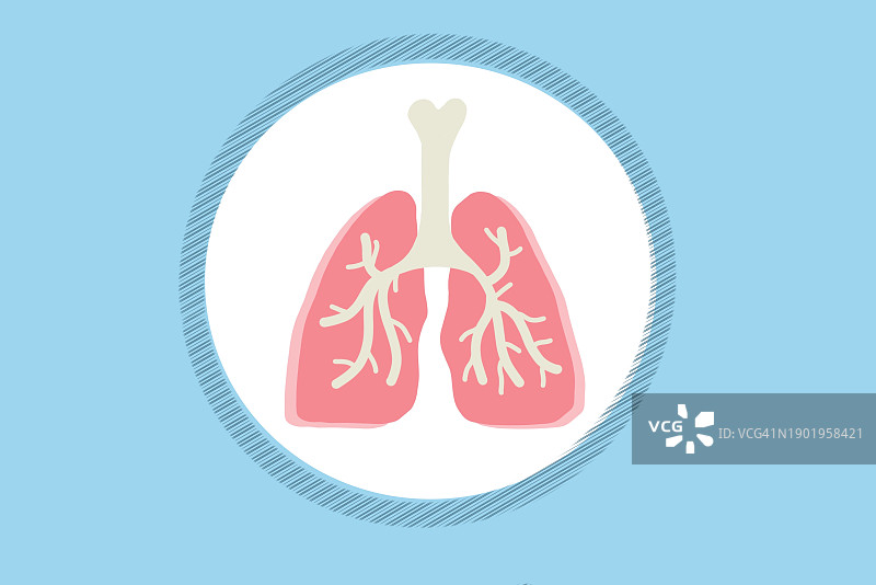 人类呼吸器官（肺）绘画，2024年流行色：桃色图片素材