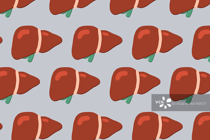 浅色背景下的人体肝脏解剖图图片素材