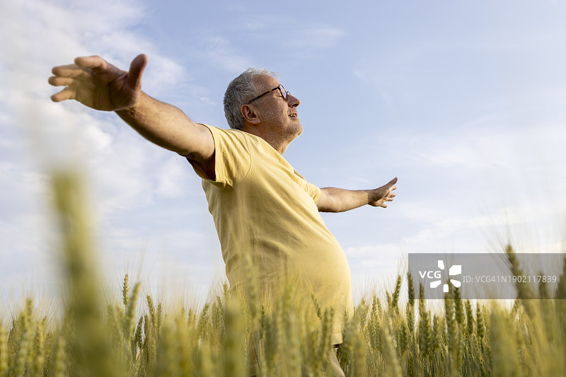 快乐的中年男人闭着眼睛，在麦田里伸开双臂图片素材