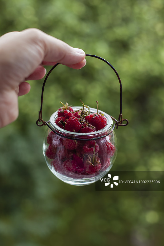 新鲜的树莓图片素材