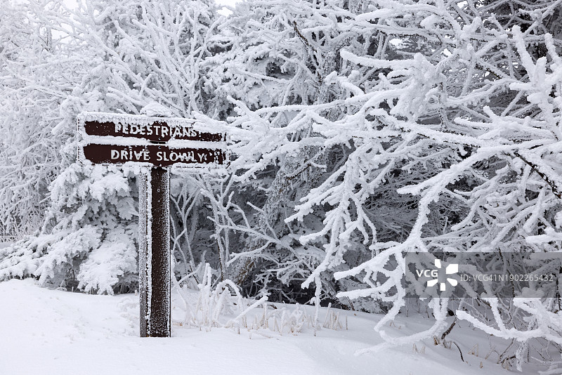 暴风雪中被雪覆盖的标志图片素材