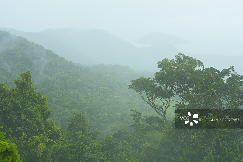 澳大利亚昆士兰州丹翠雨林，苦难角路景观图片素材