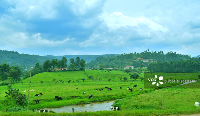 乌干达卡巴莱农场风景图片素材