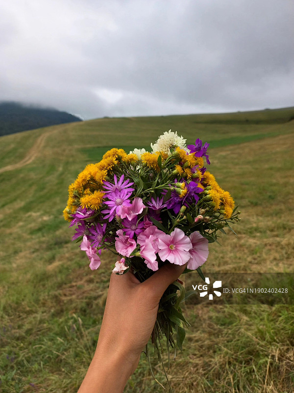 手持鲜花，田野天空背景图片素材