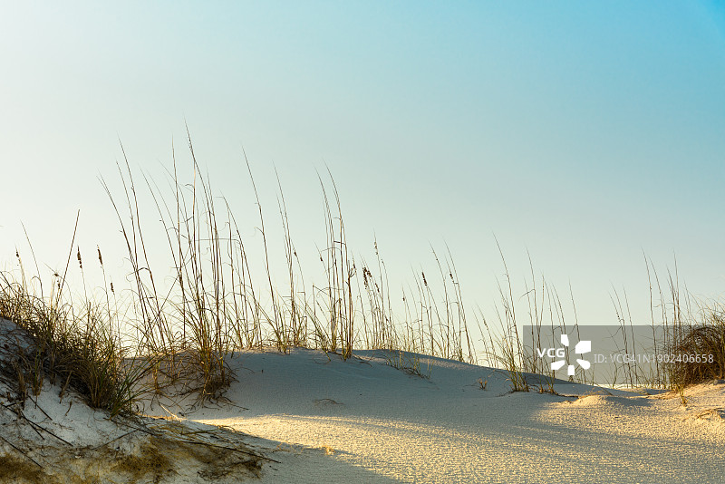 美国佛罗里达州奥卡卢萨岛雪景风光图片素材