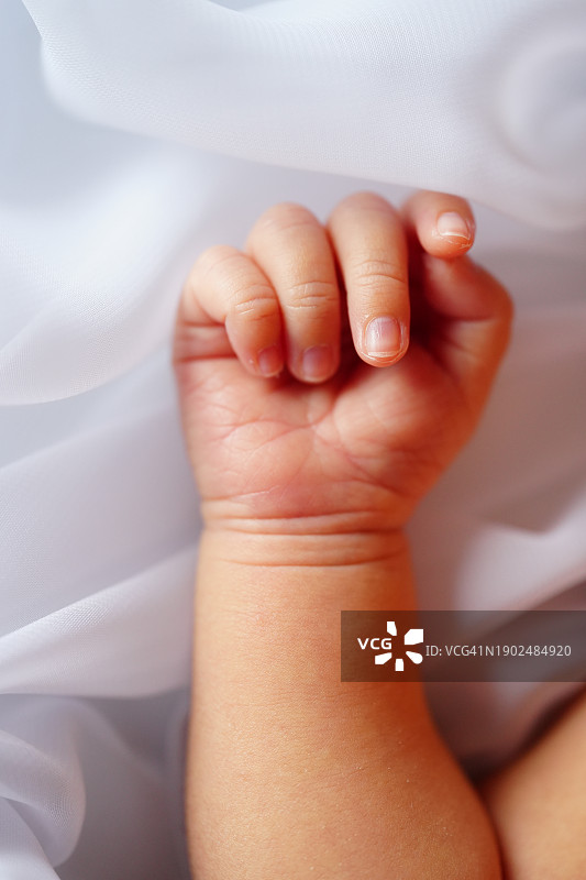 女婴的小手图片素材