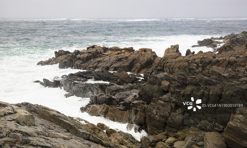 纽芬兰的岩石海岸线图片素材