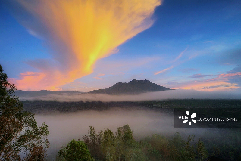 牵牛花图片素材