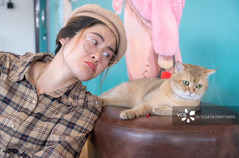 小猫不理睬宠物主人图片素材