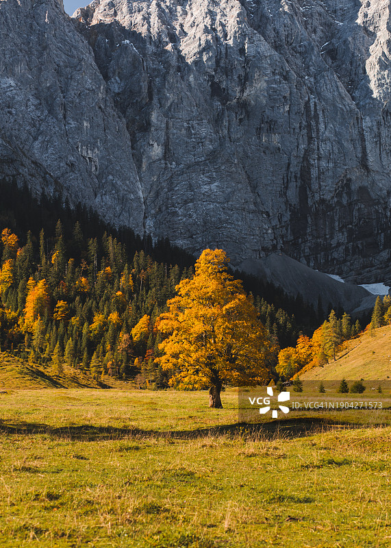 秋季山景图片素材