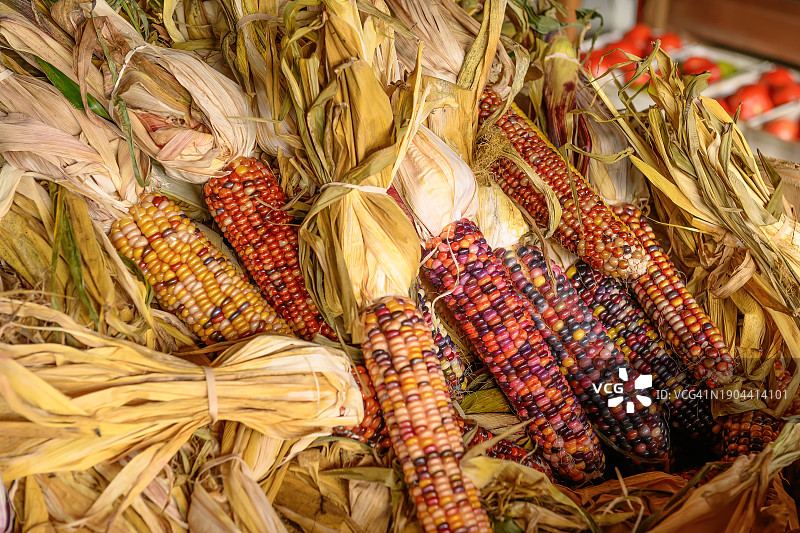 特写印度玉米图片素材