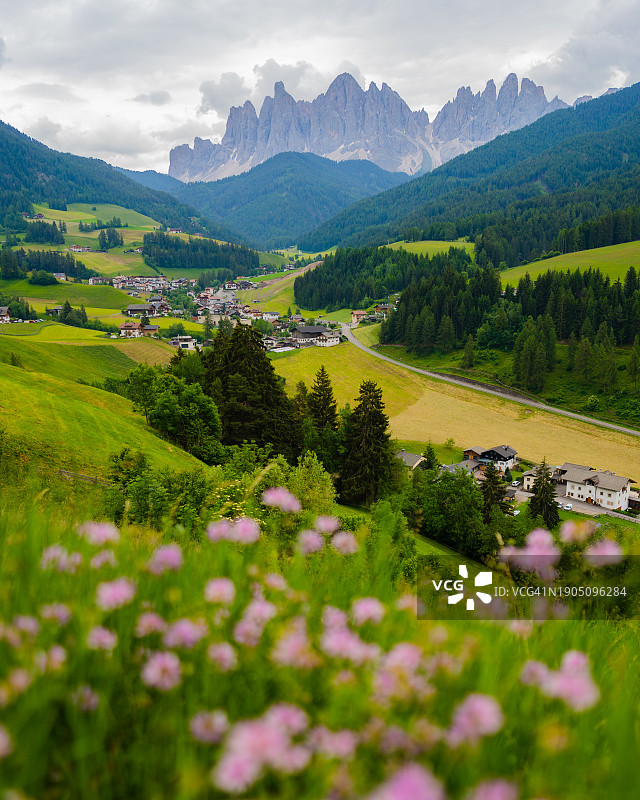 圣焦瓦尼迪法萨的鲜花植物和山脉风光，意大利图片素材