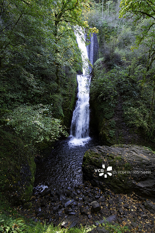 美国俄勒冈森林瀑布风光图片素材