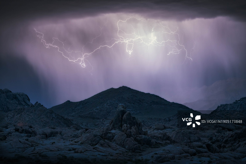 美国加利福尼亚州孤松夜空中闪电的低角度视图图片素材