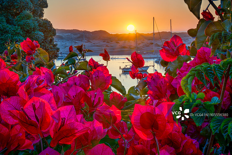 莫罗湾及纸莎草日落，加利福尼亚州圣路易斯奥比斯波县图片素材