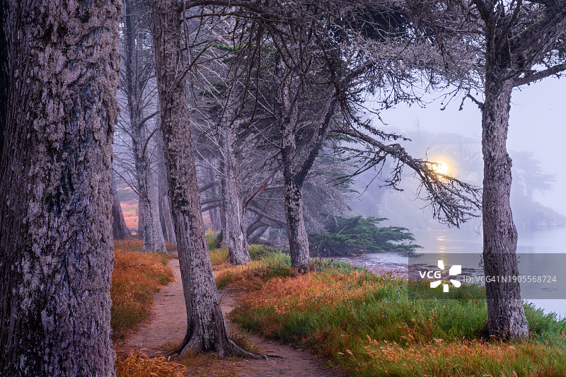 加利福尼亚州圣路易斯奥比斯波县莫罗湾的雾夜图片素材