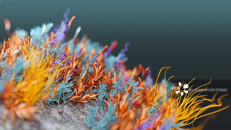 微观世界图片素材