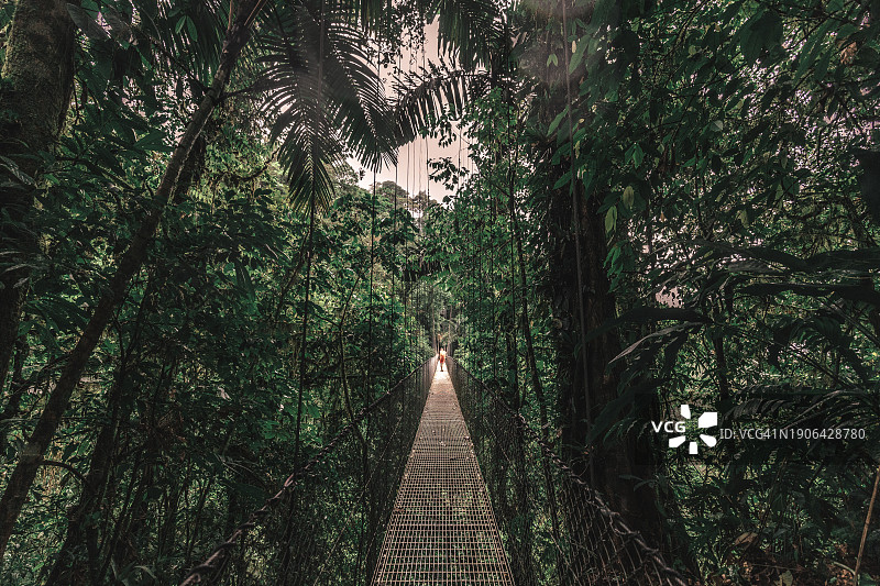 在哥斯达黎加阿雷纳尔吊桥上的游客图片素材