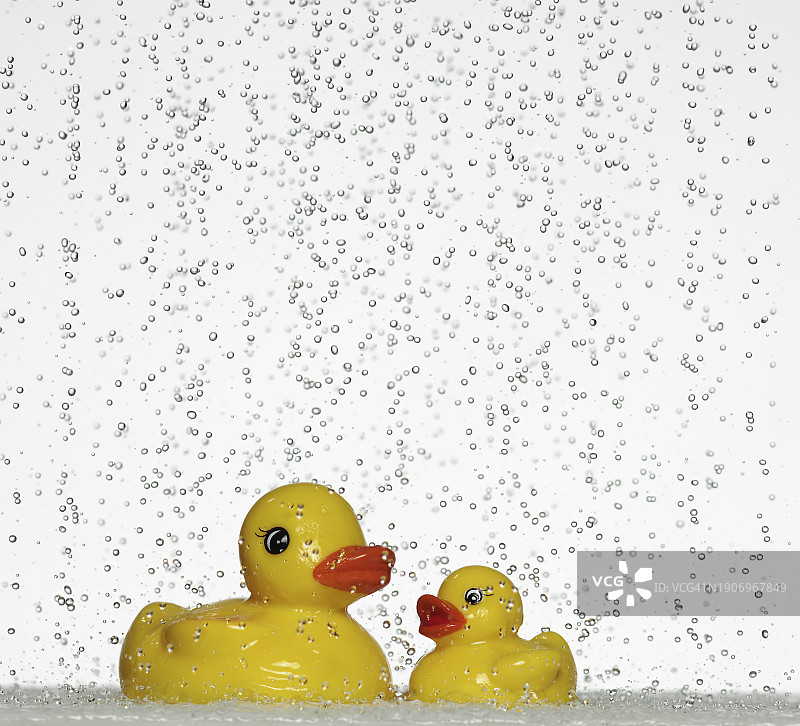 淋浴下的橡胶鸭图片素材