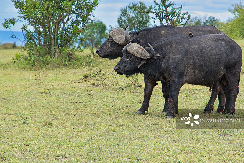 等待加入的人群图片素材