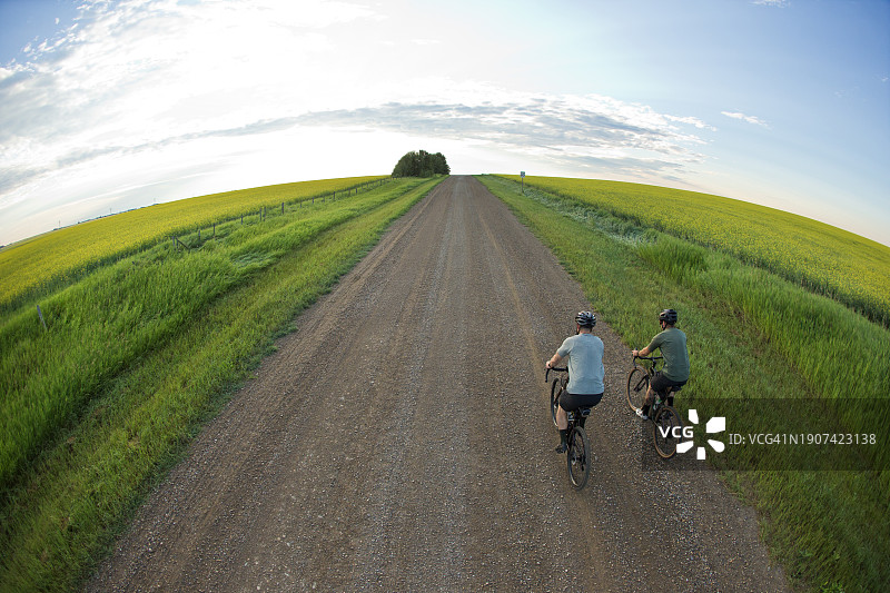 砾石自行车骑行油菜花田图片素材