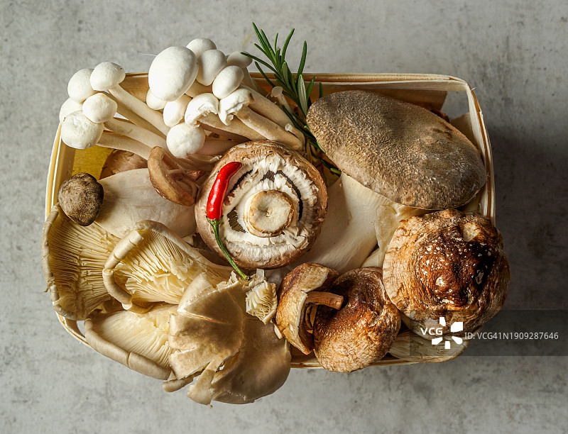 用于健康烹饪的各种蘑菇：香菇、平菇、杏鲍菇、白环蘑菇图片素材