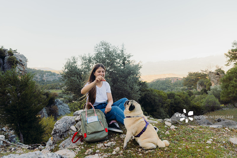 在土耳其山区给她的狗喂食的女游客图片素材